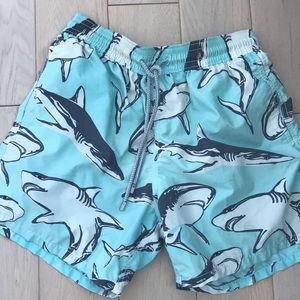 vilebrequin men’s bathing suit bottoms